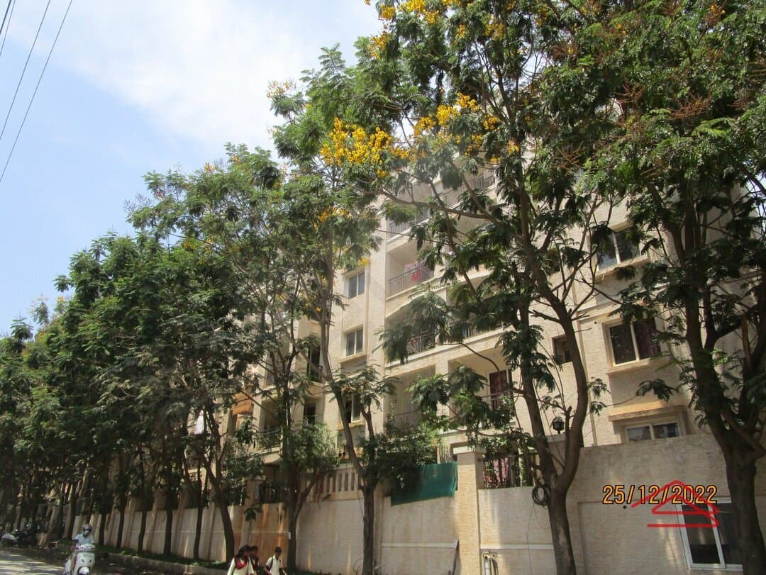 Project: Exteriors