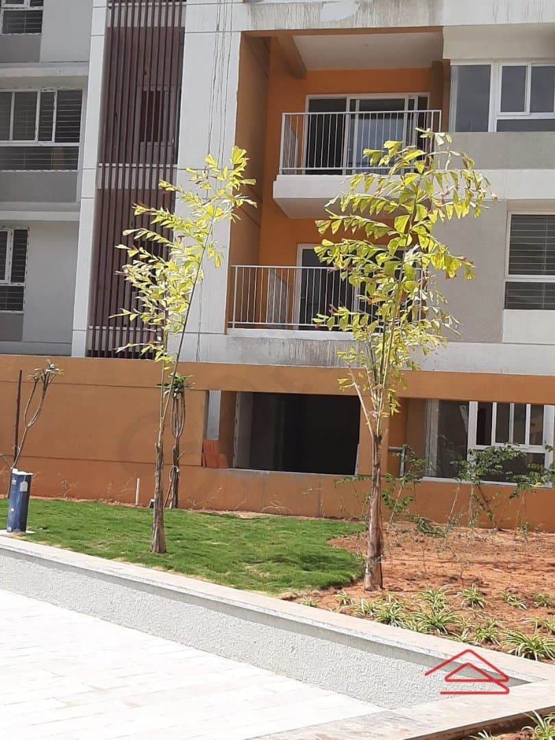 Project: Exteriors