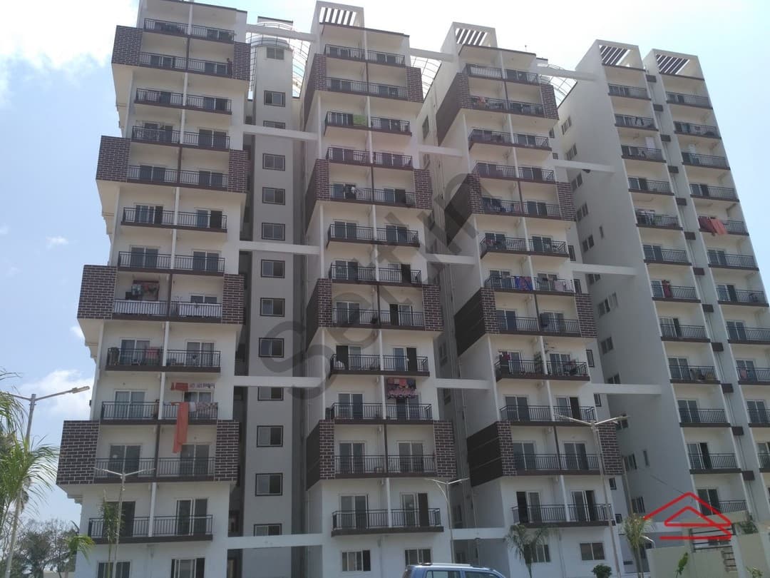 Project: Exteriors