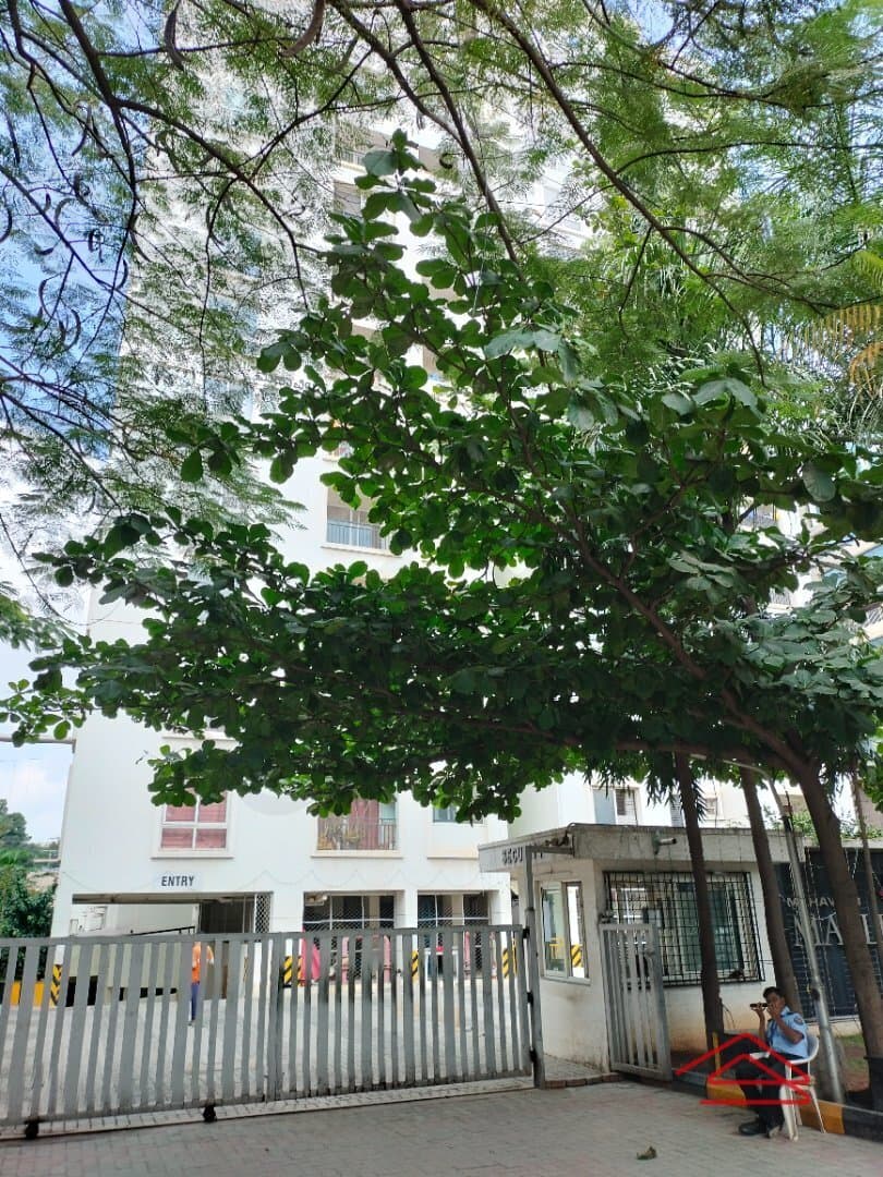 Project: Exteriors