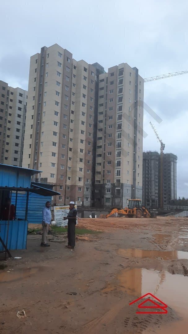 Model Flat Images
