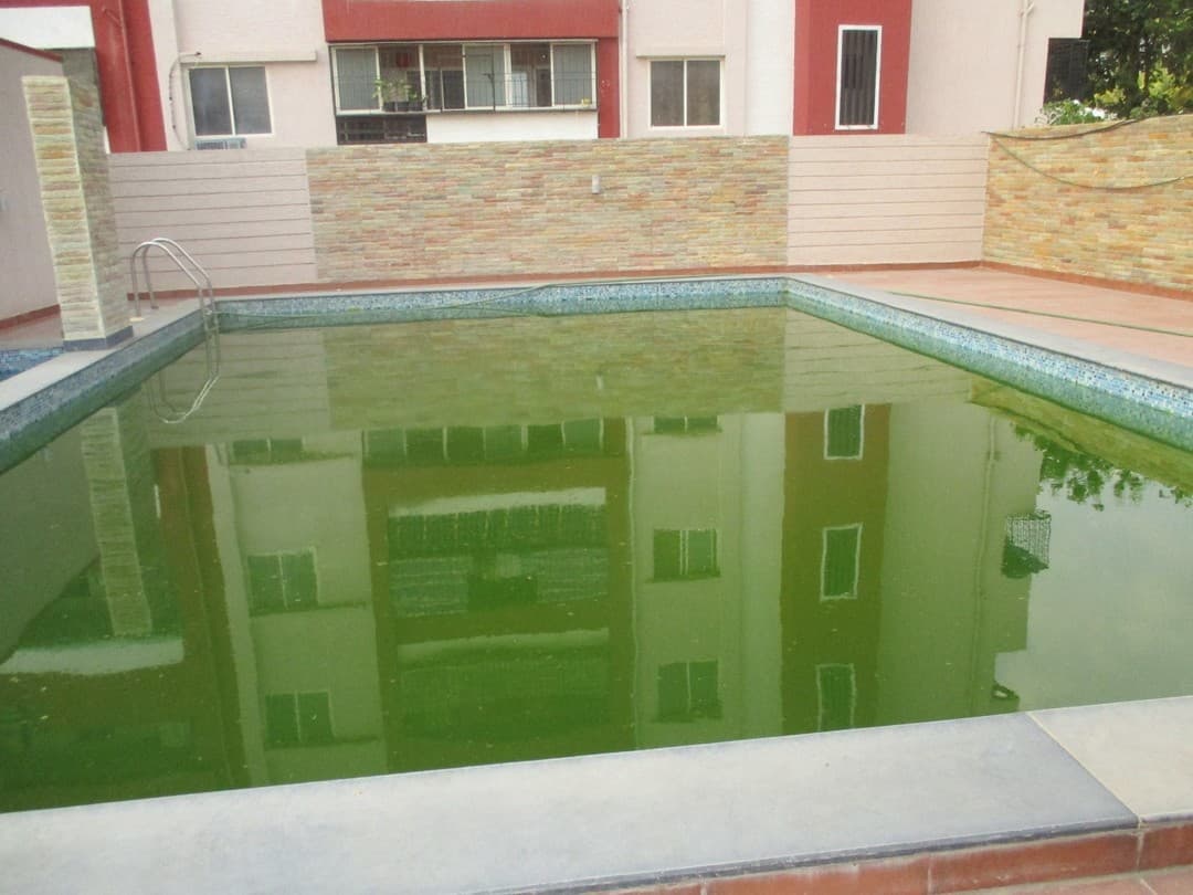 Project: Swimmingpool
