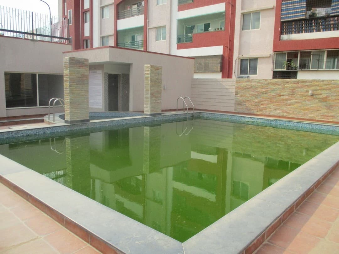 Project: Swimmingpool