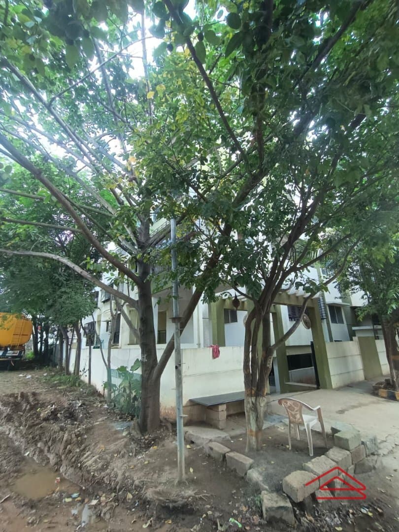 Project: Exteriors