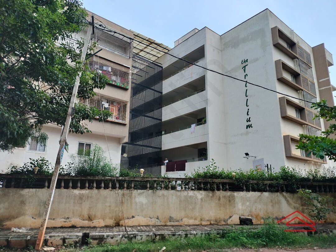 Project: Exteriors