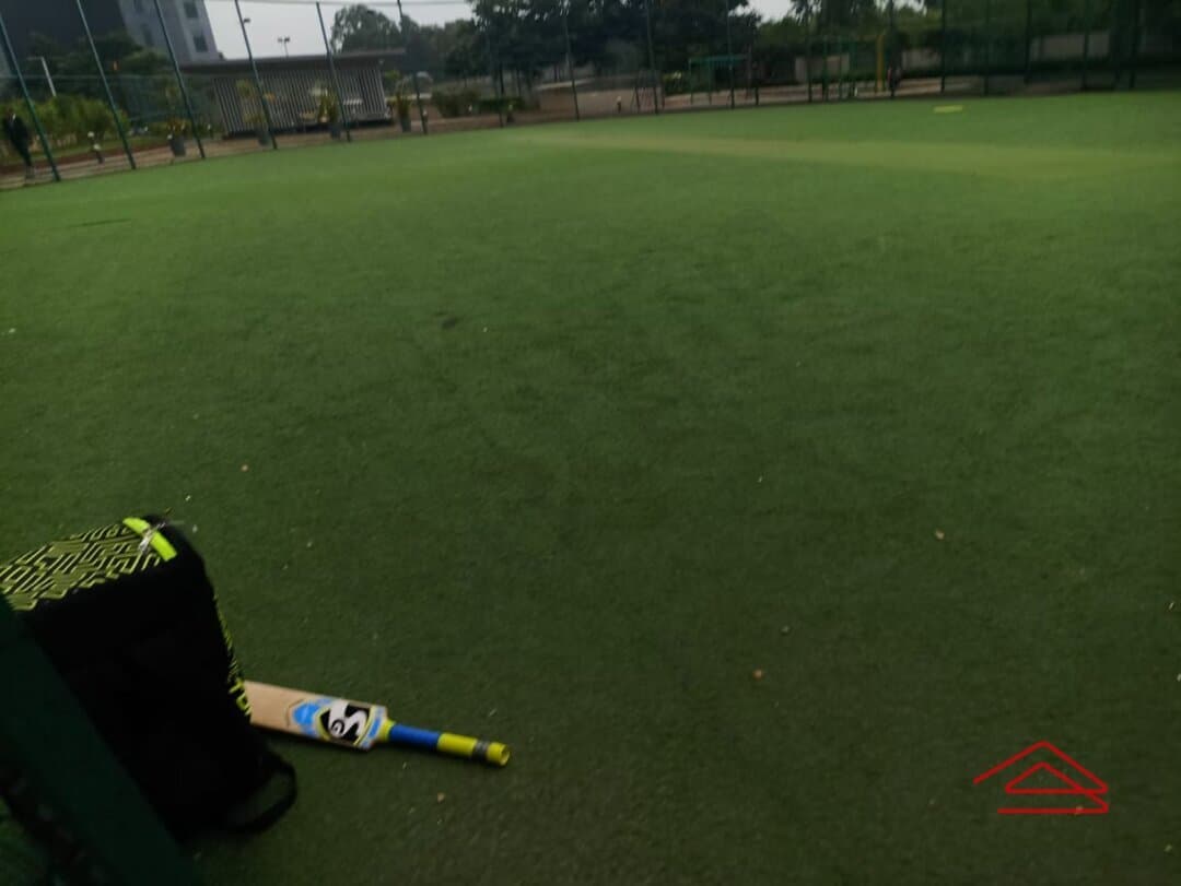 Project: Cricketground