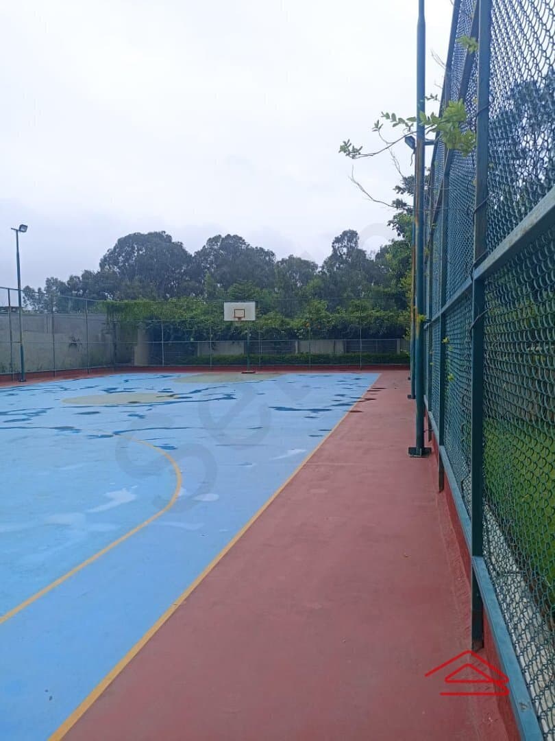 Project: BasketballCourt