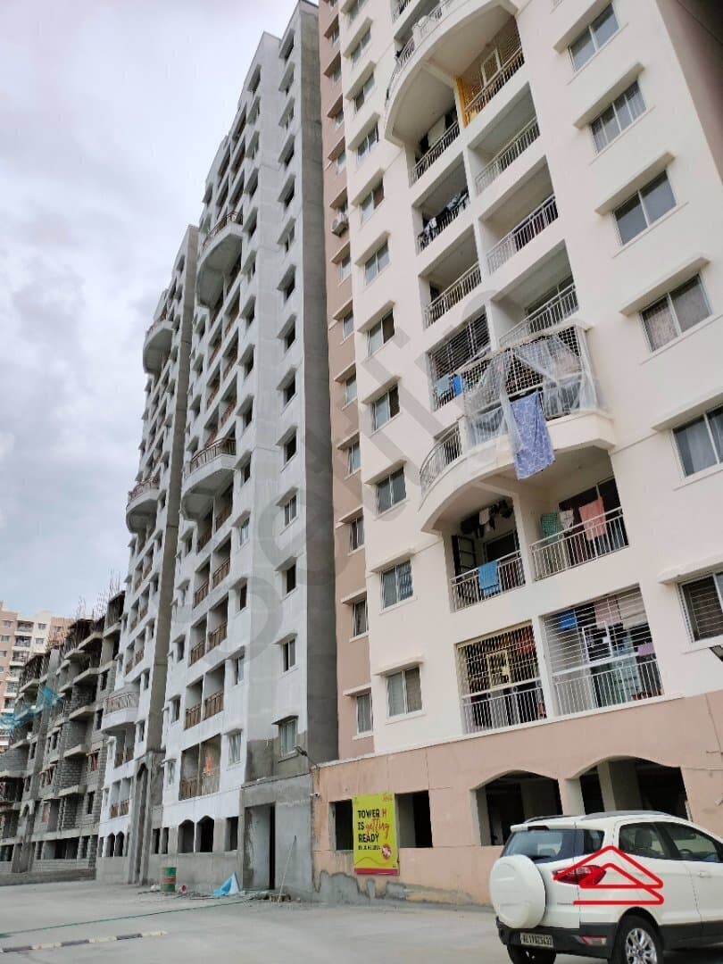 Model Flat Images