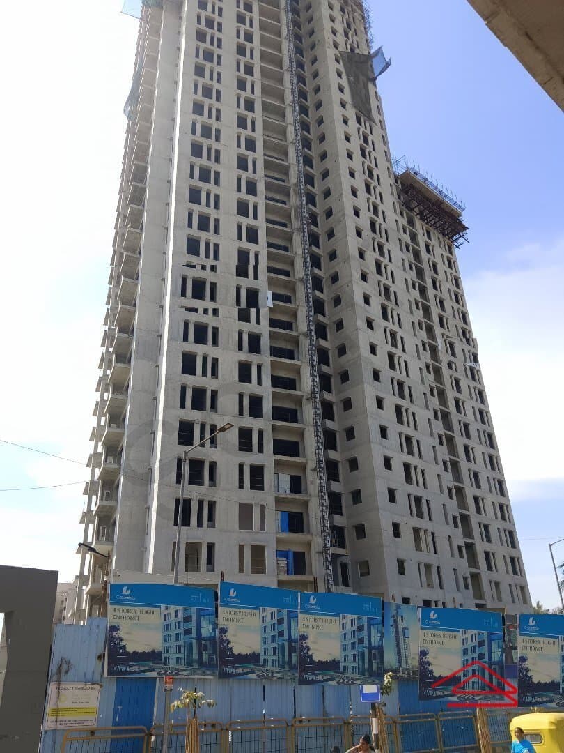 Project: Model Flat