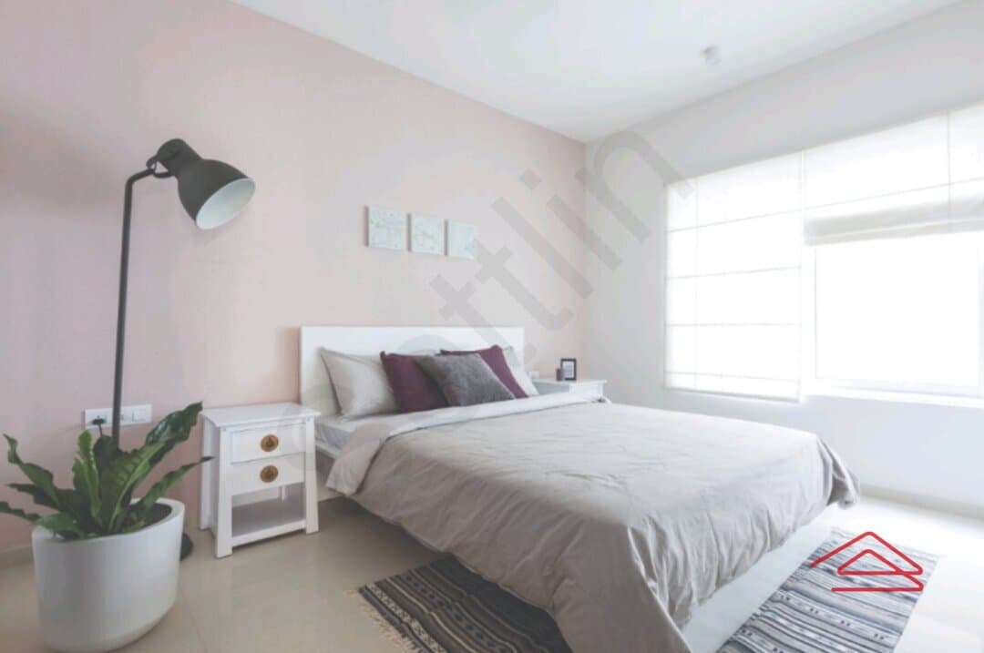 Model Flat Images