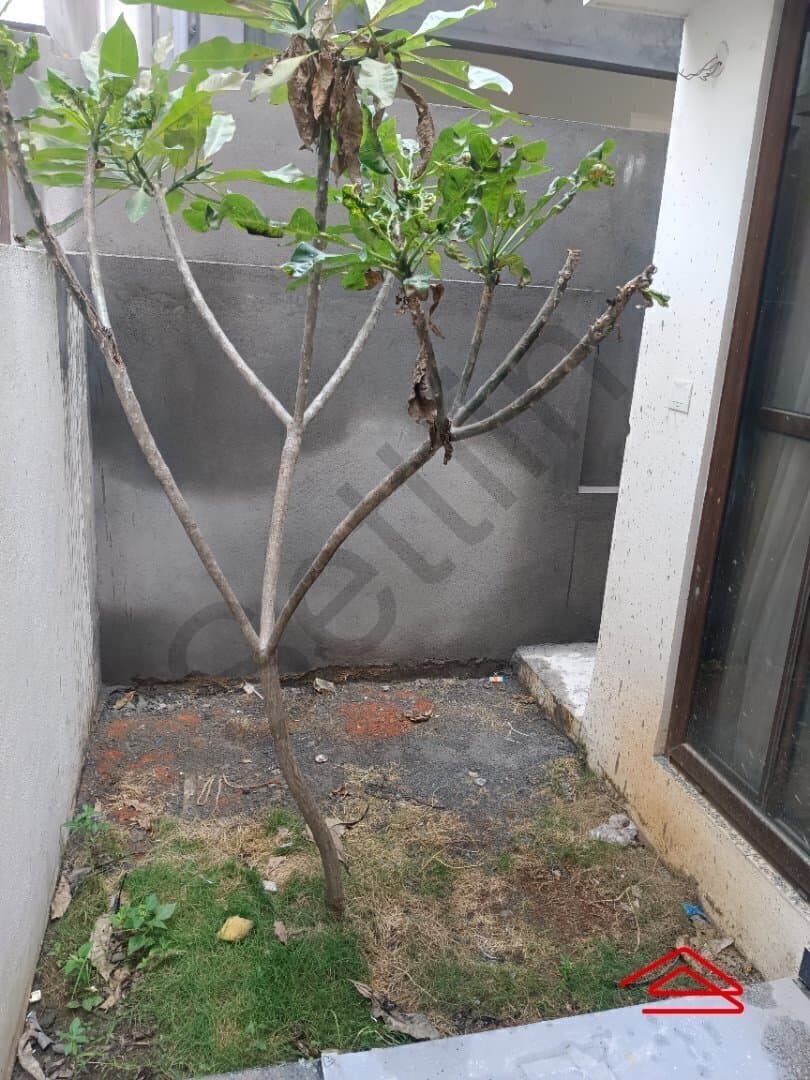 Garden 1