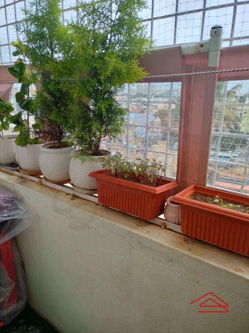 Balcony 1
