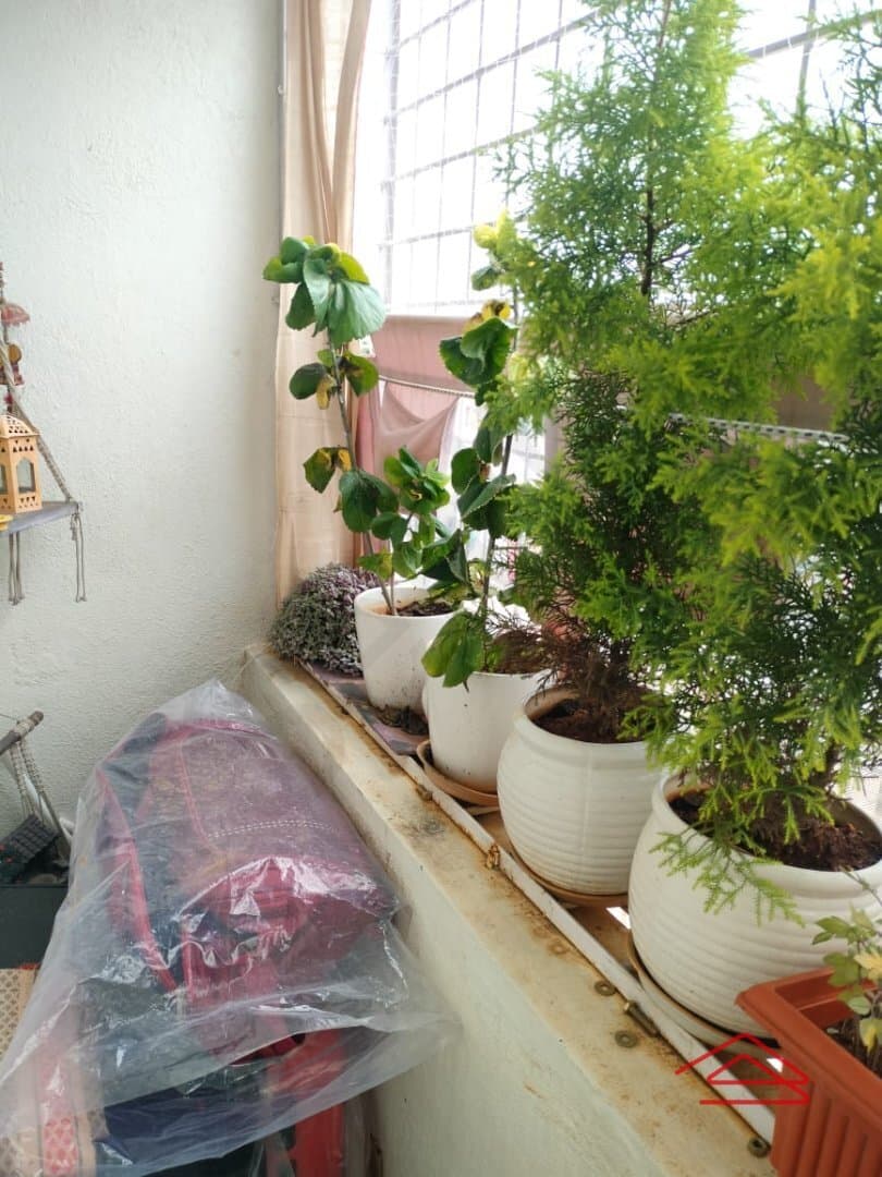Balcony 1