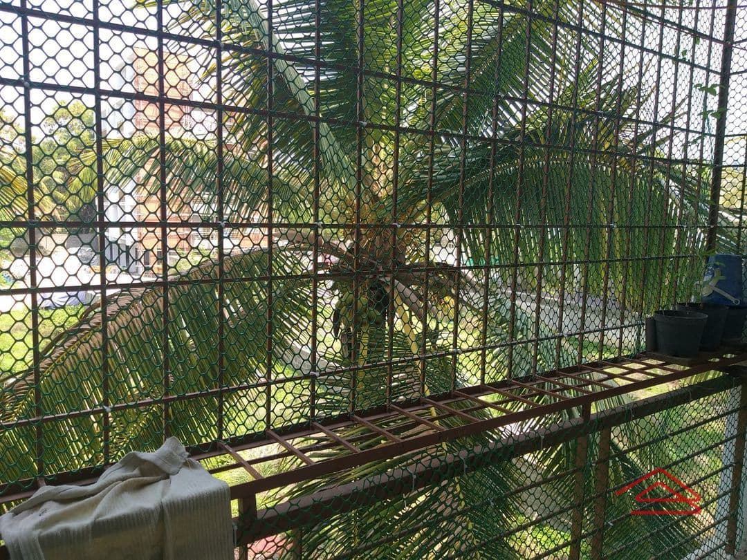 Balcony 1