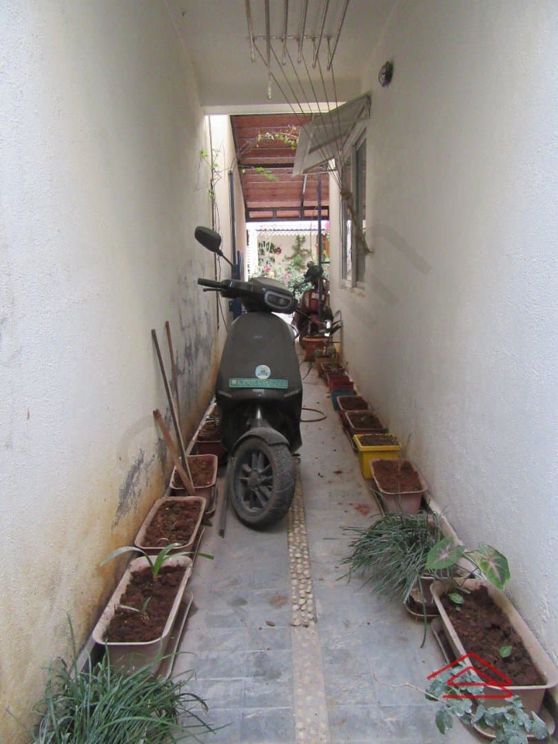 Garden 1