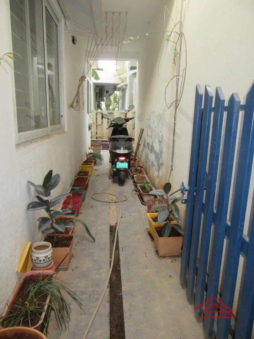 Garden 1