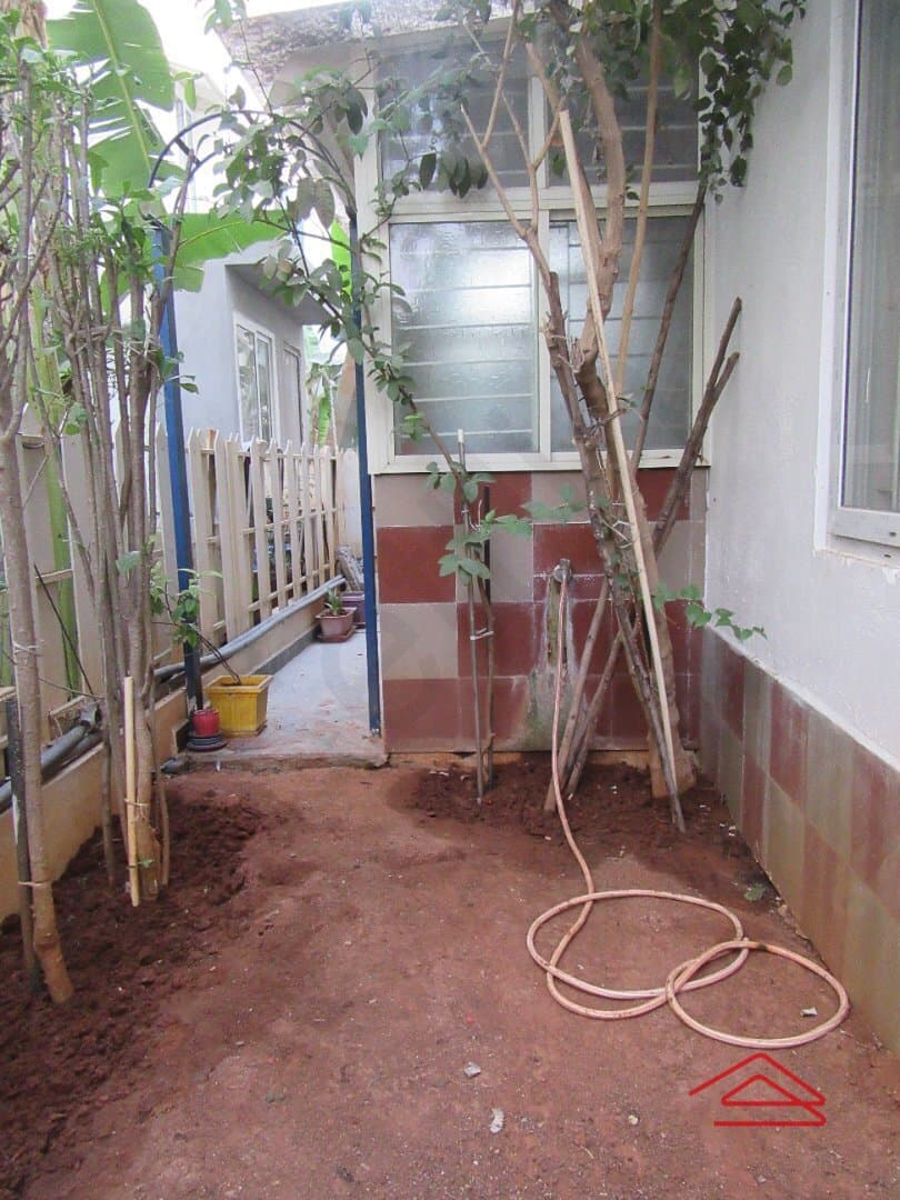 Garden 1