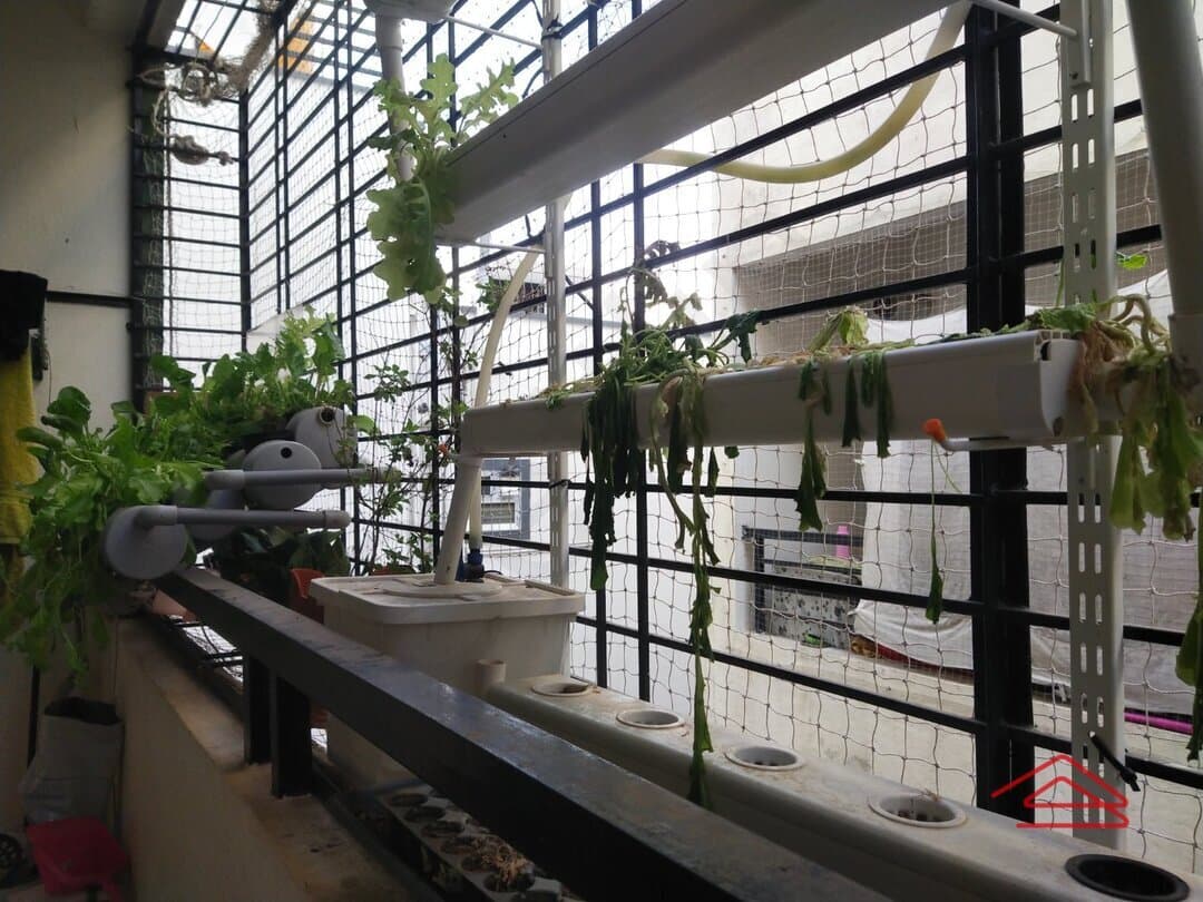 Balcony 1