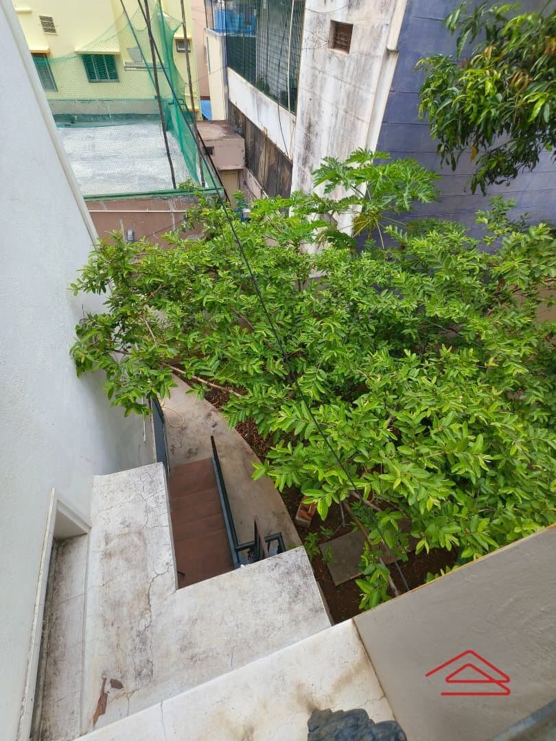 terraces 1