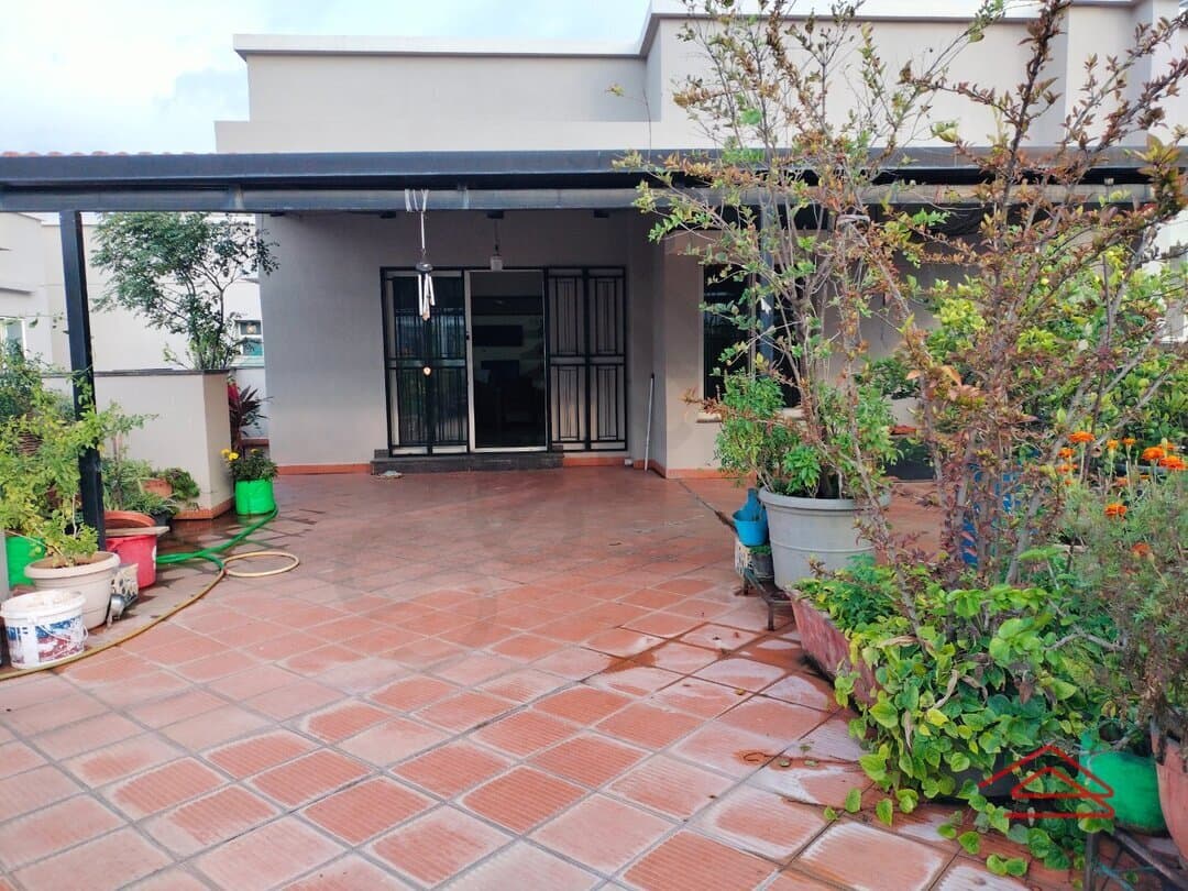 Terrace 1