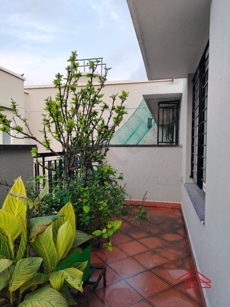 Terrace 1