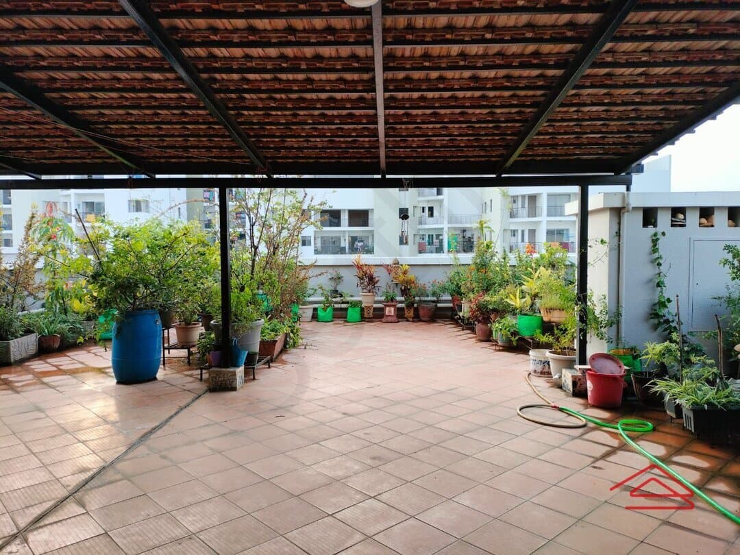 Terrace 1