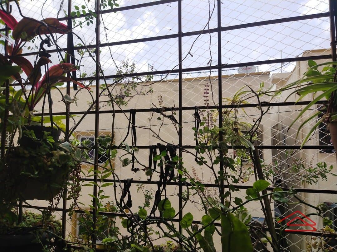 Balcony 2