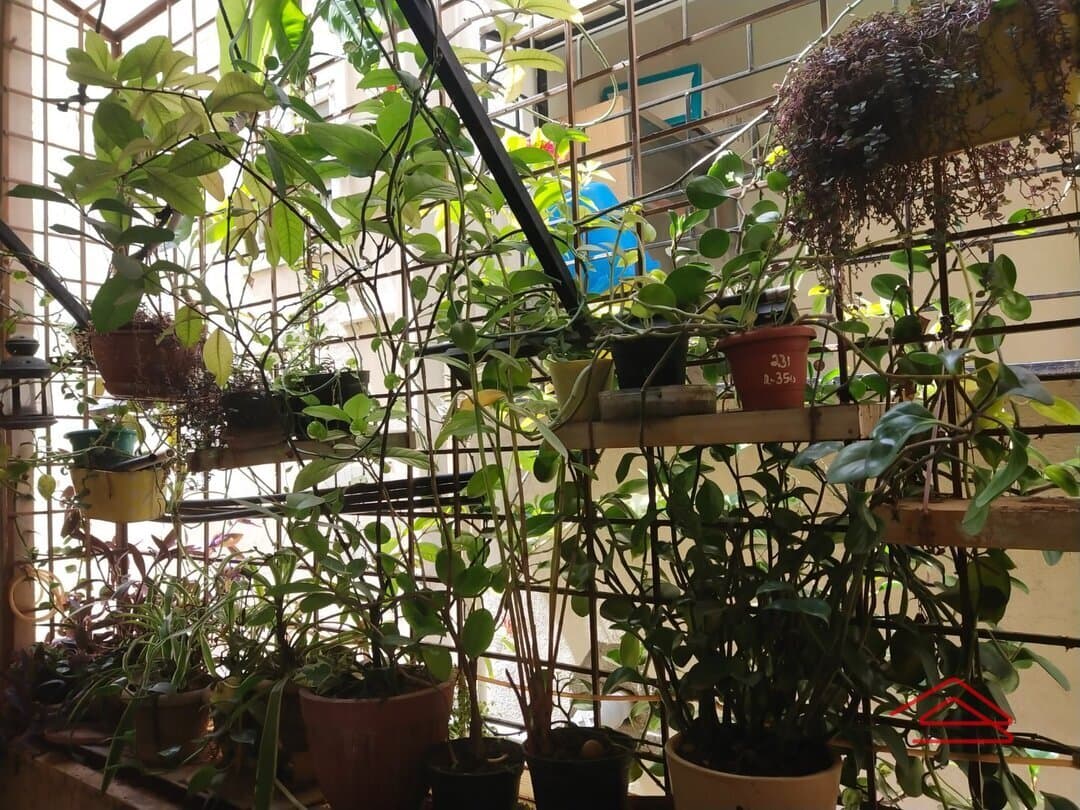 Balcony 1