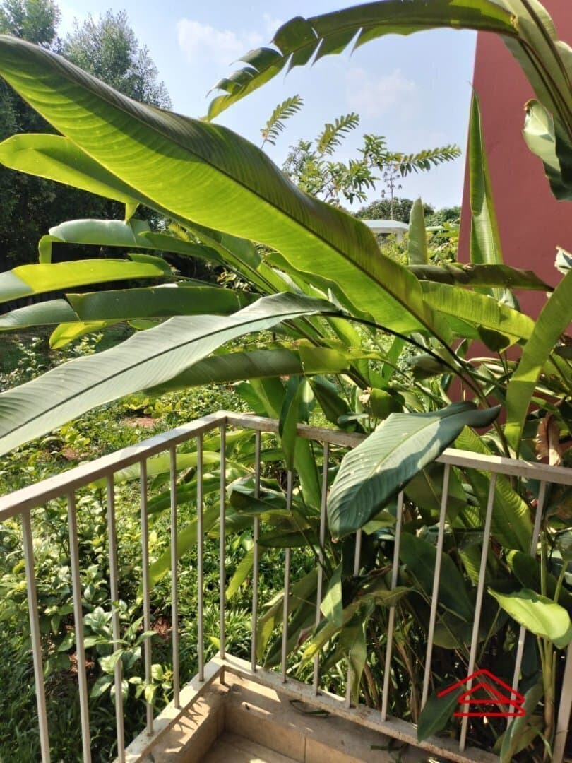 Balcony 3