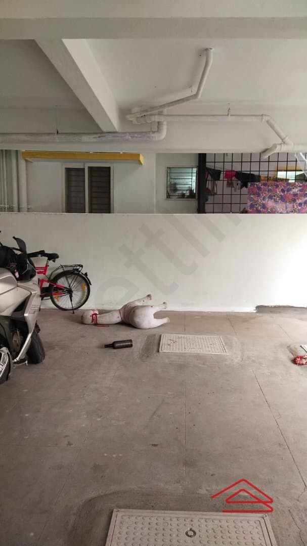 parkings 1