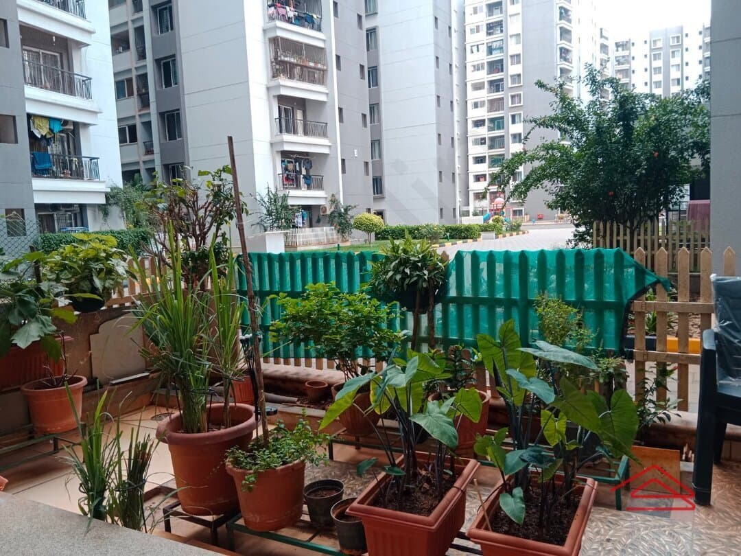 Garden 1