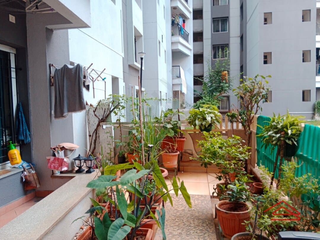 Garden 1