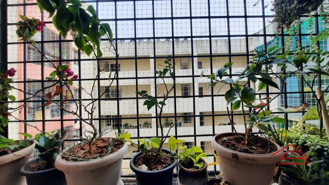 Balcony 1