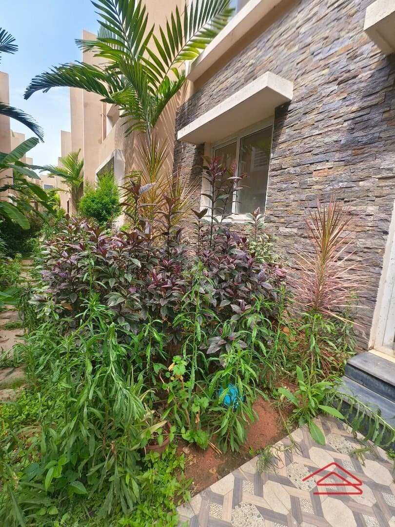 Garden 1
