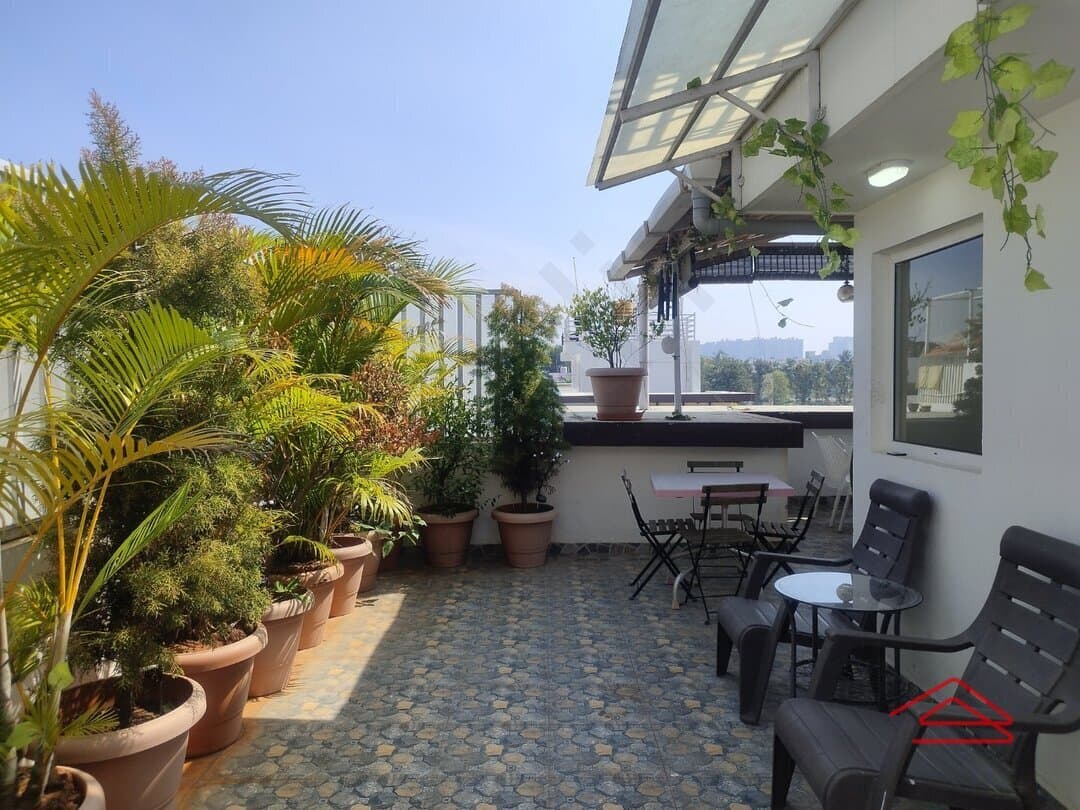 Terrace 1