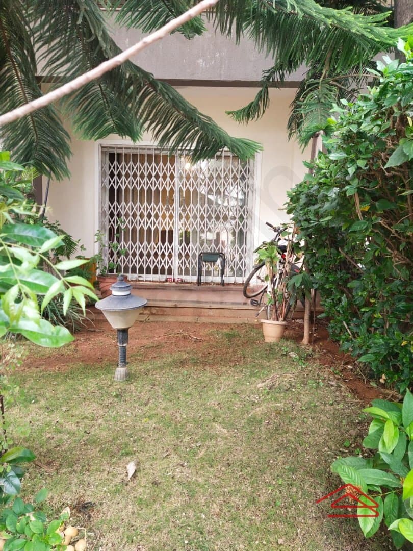 Front Yard 1