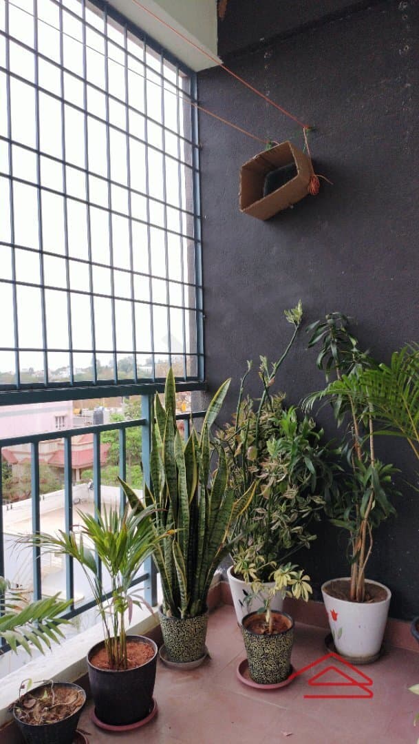 Balcony 1
