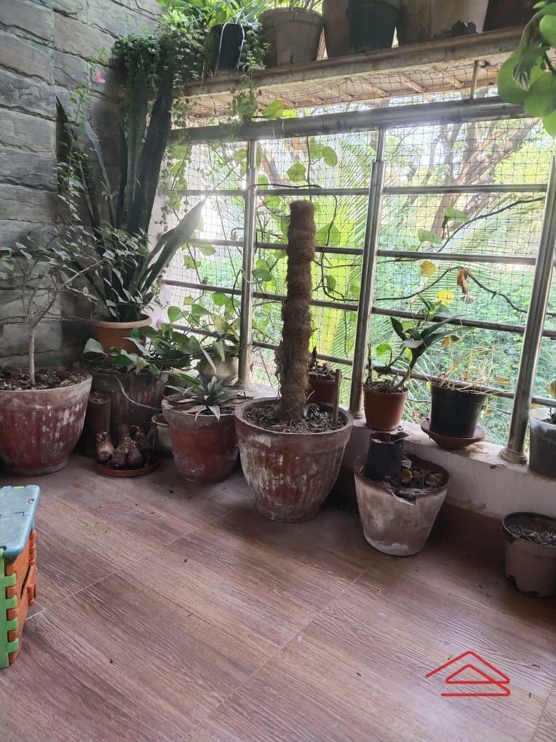 Balcony 1