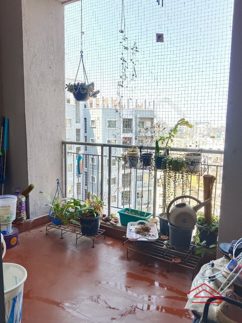 Balcony 1