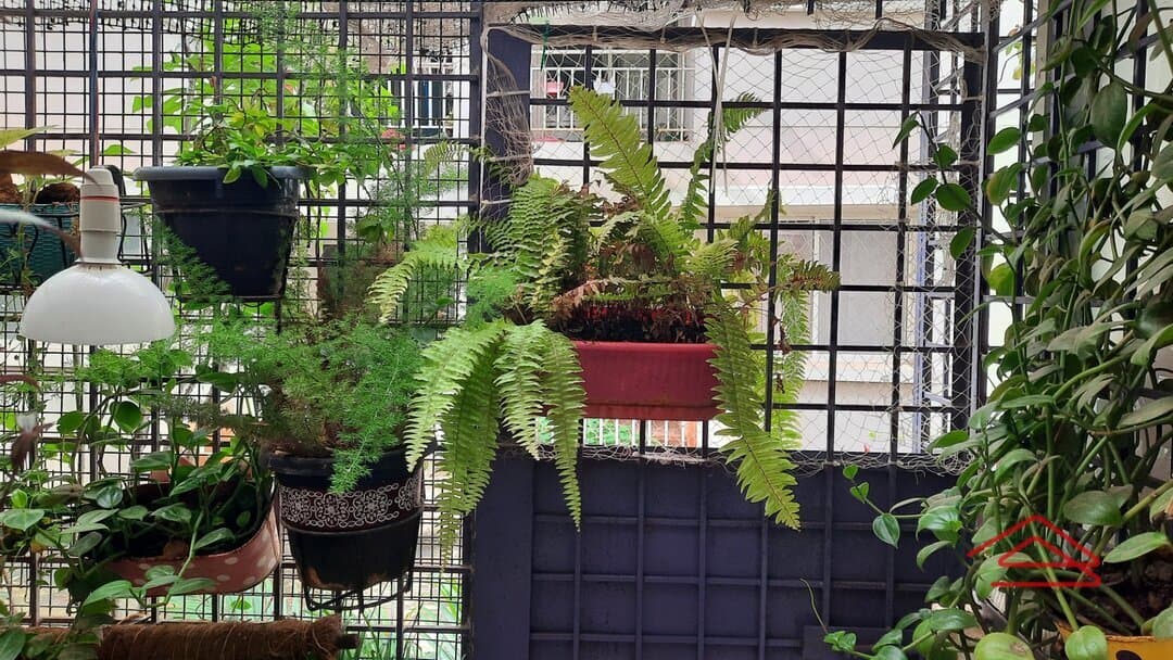 Balcony 1