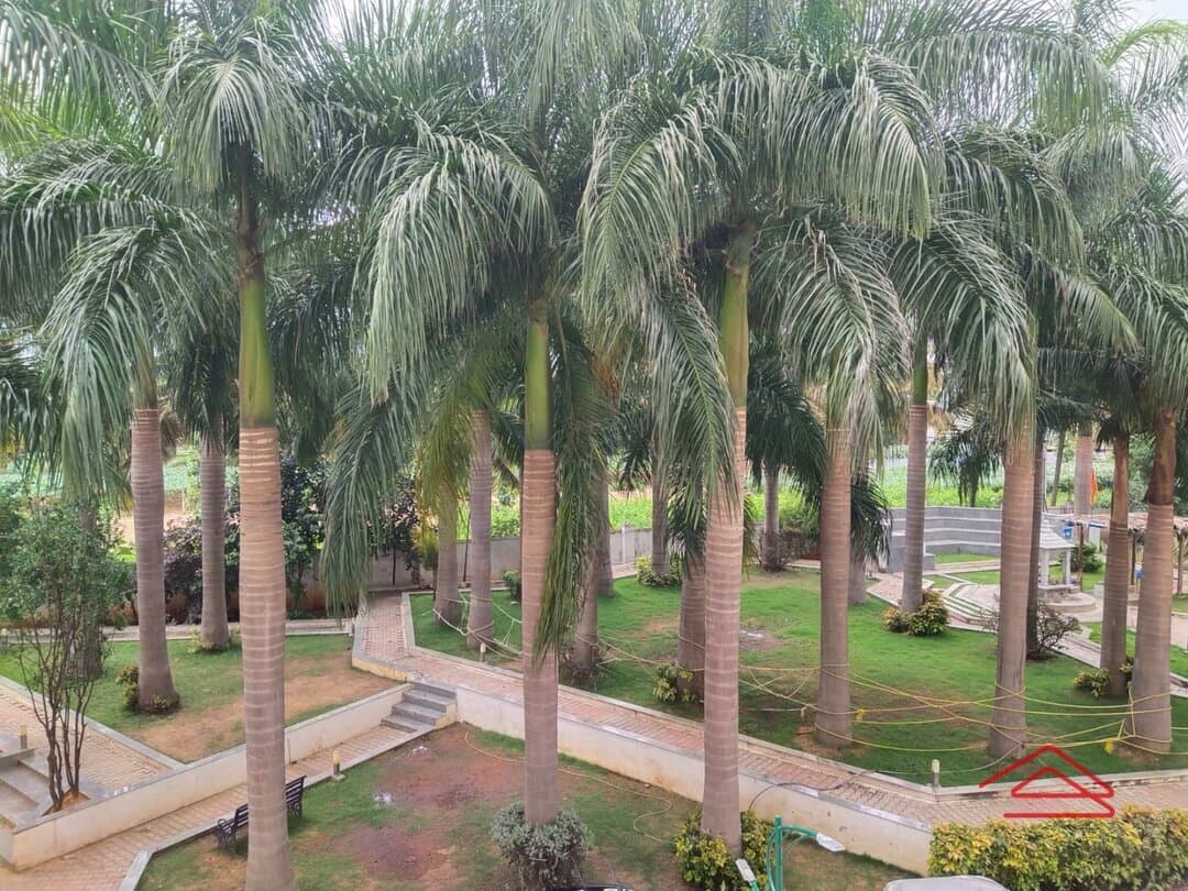 Balcony 1