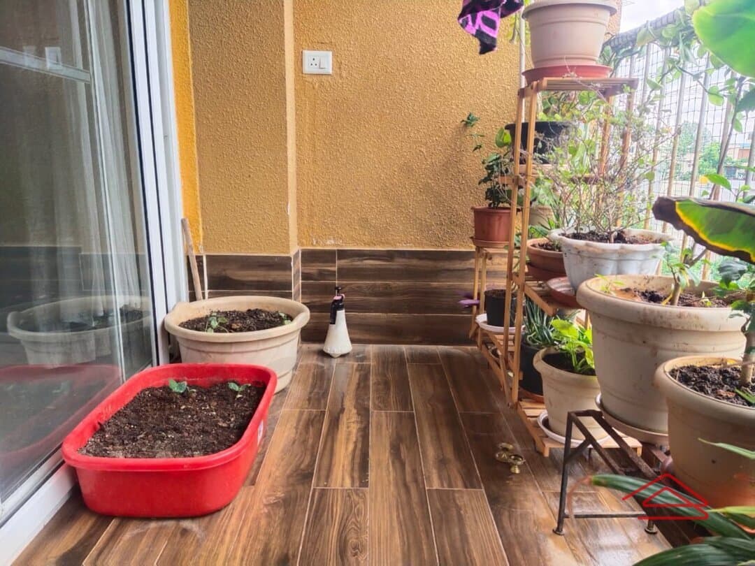 Balcony 1