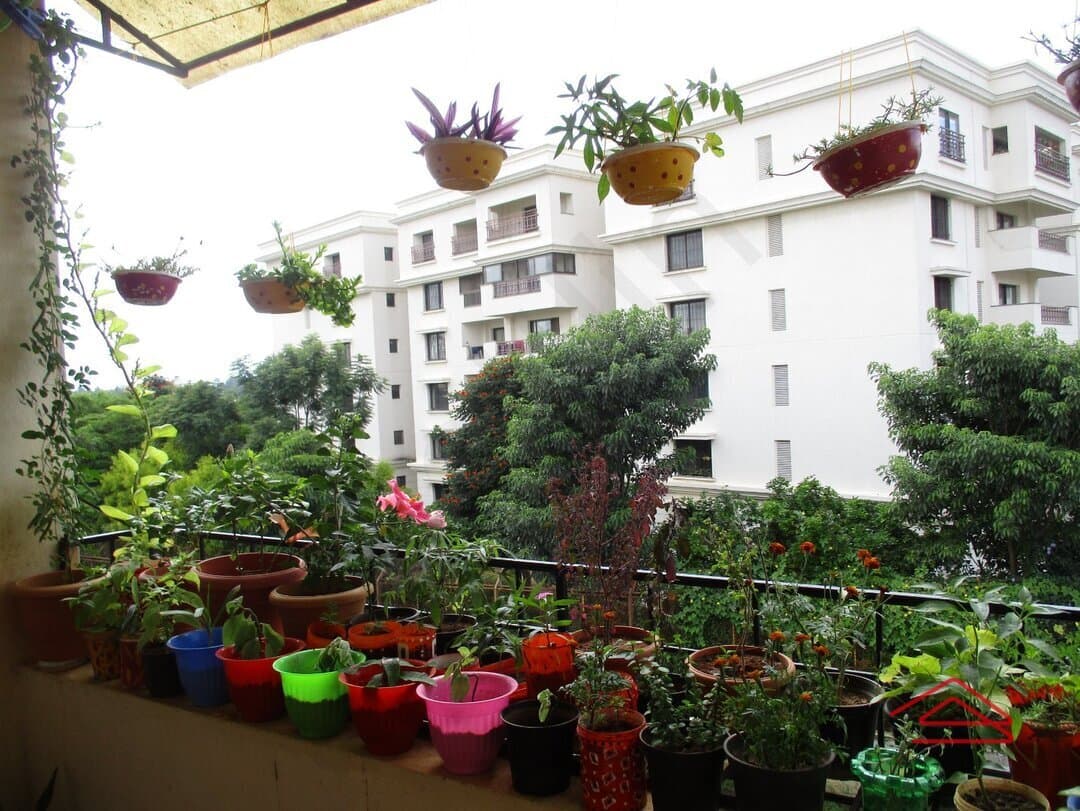 Balcony 1