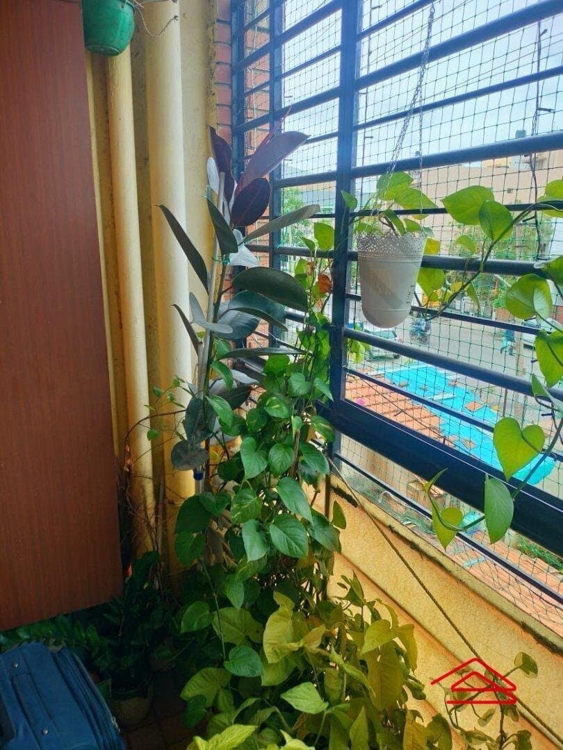 Balcony 1