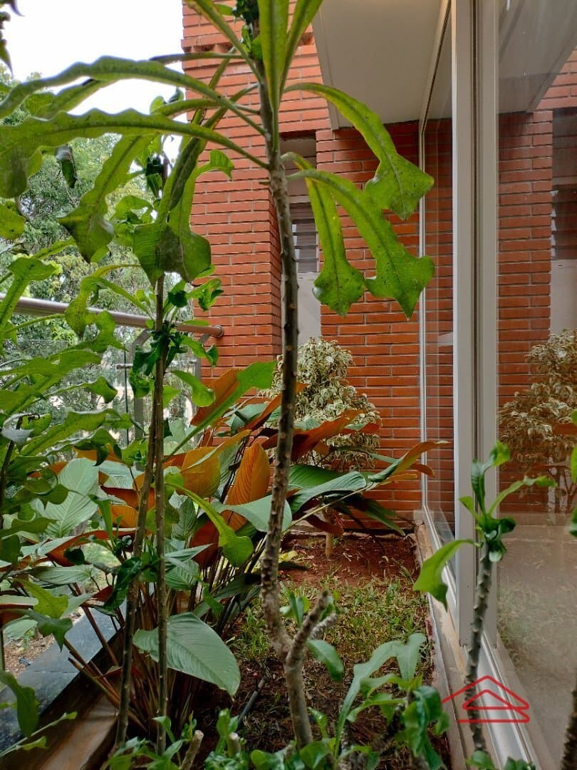 Garden 1