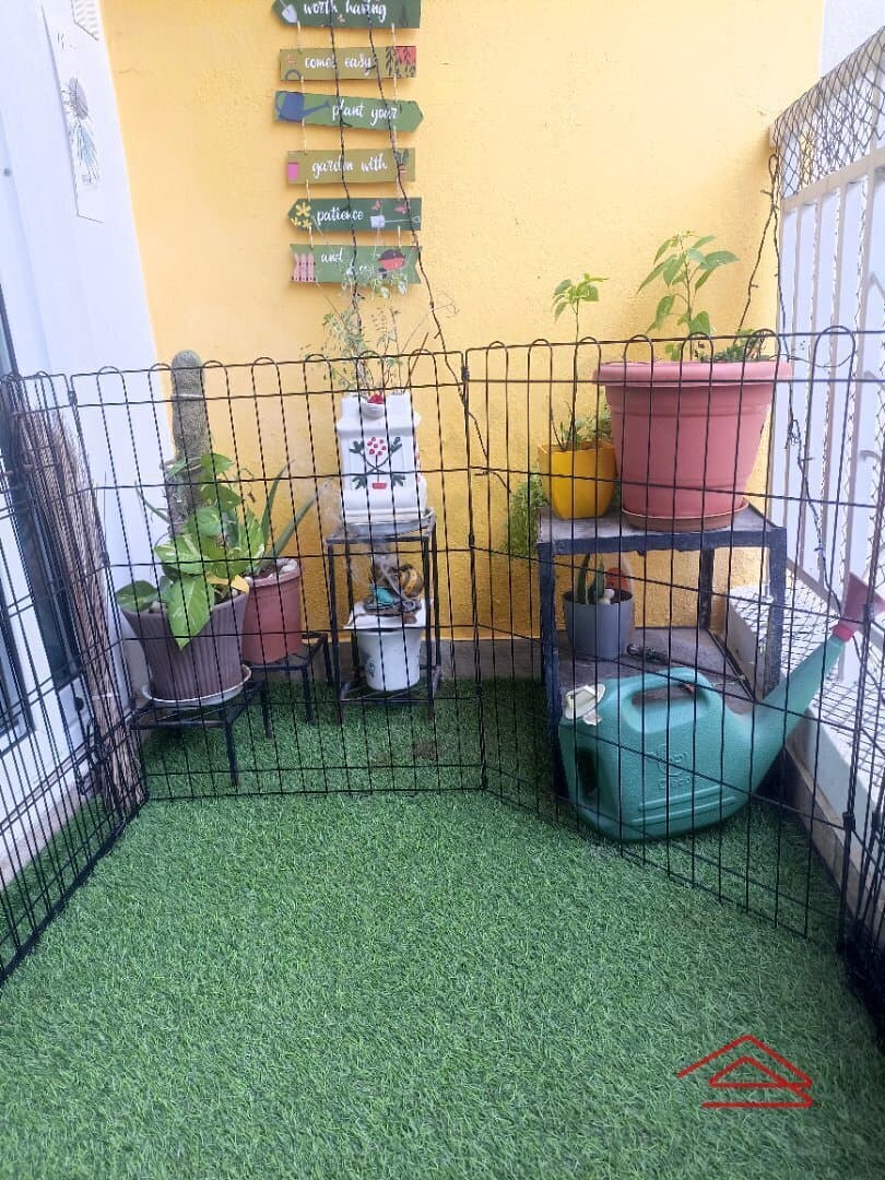 Balcony 1