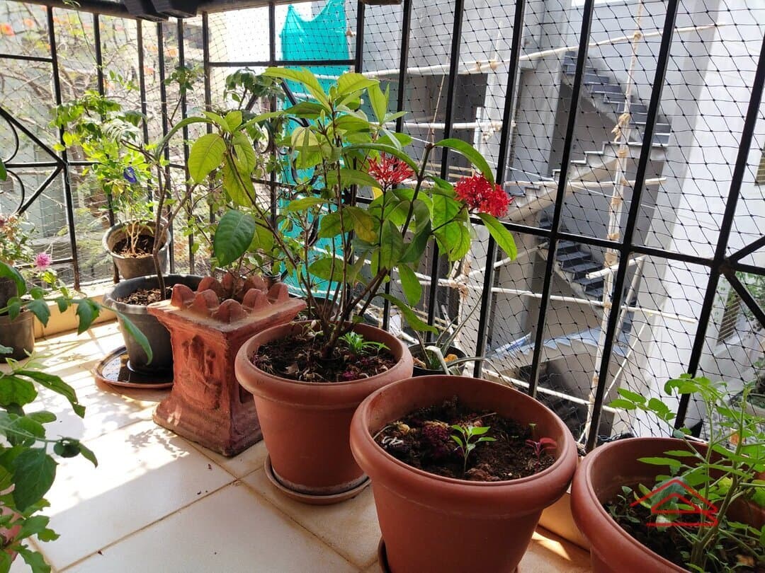 Balcony 1