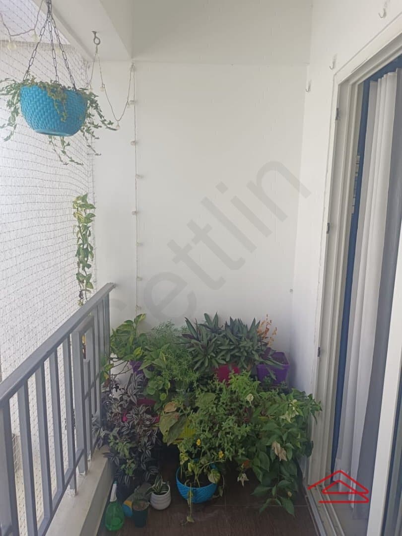 Balcony 1