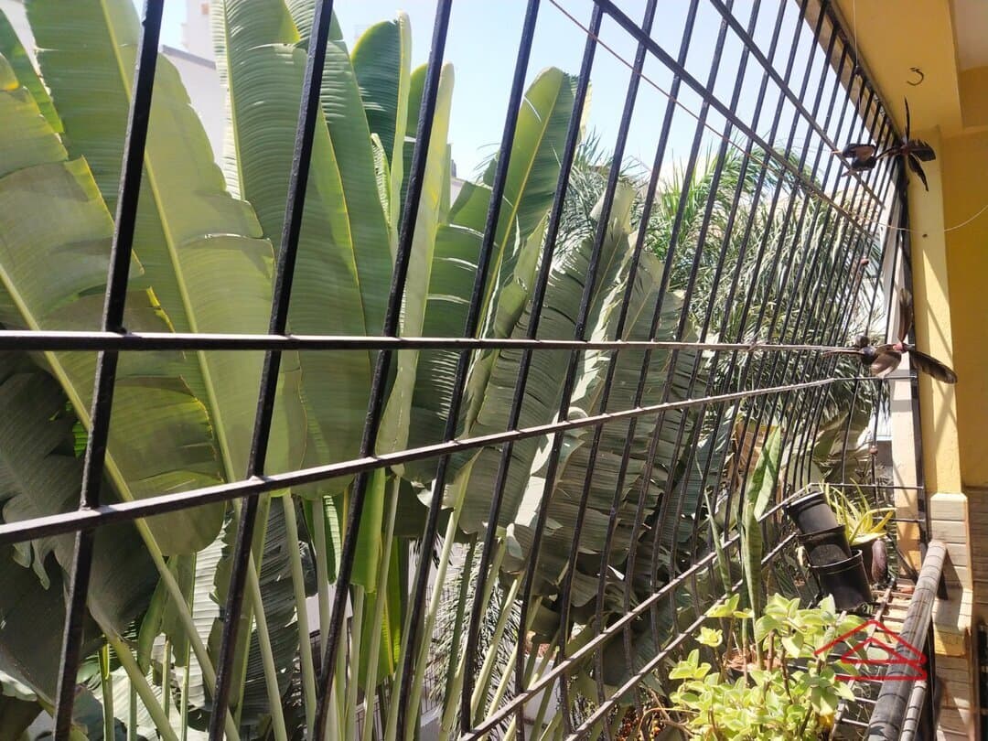 Balcony 1