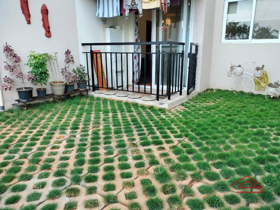 Garden 1